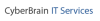 cyberbrain.nl